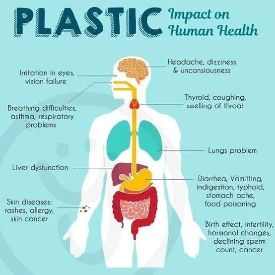 Microplastics: A Tiny Threat with a Big Impact